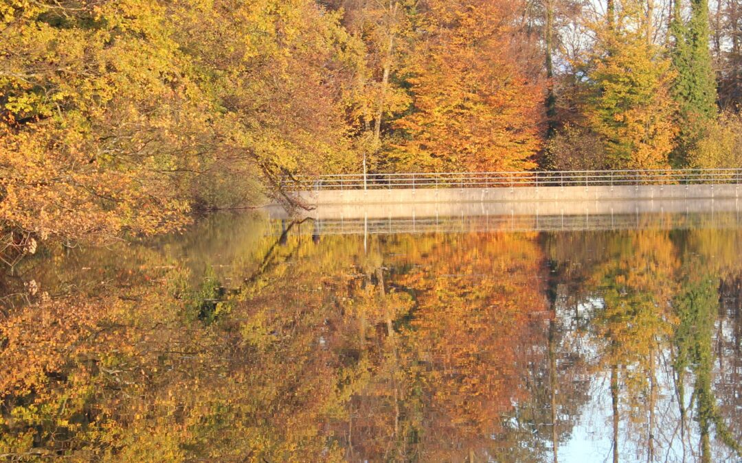 Öffnungszeiten Sekretariat während den Herbstfrien